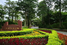 澎湖大安森林公园天气预报与景观设计指南